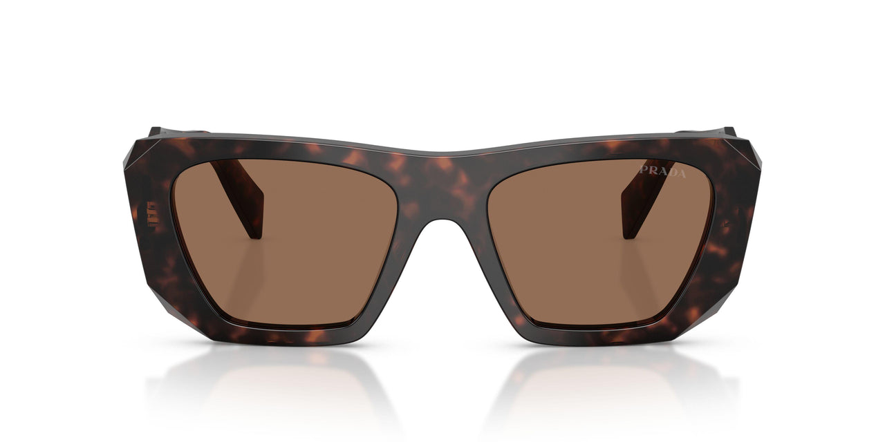 17N06B - Tortoise - Dark Brown