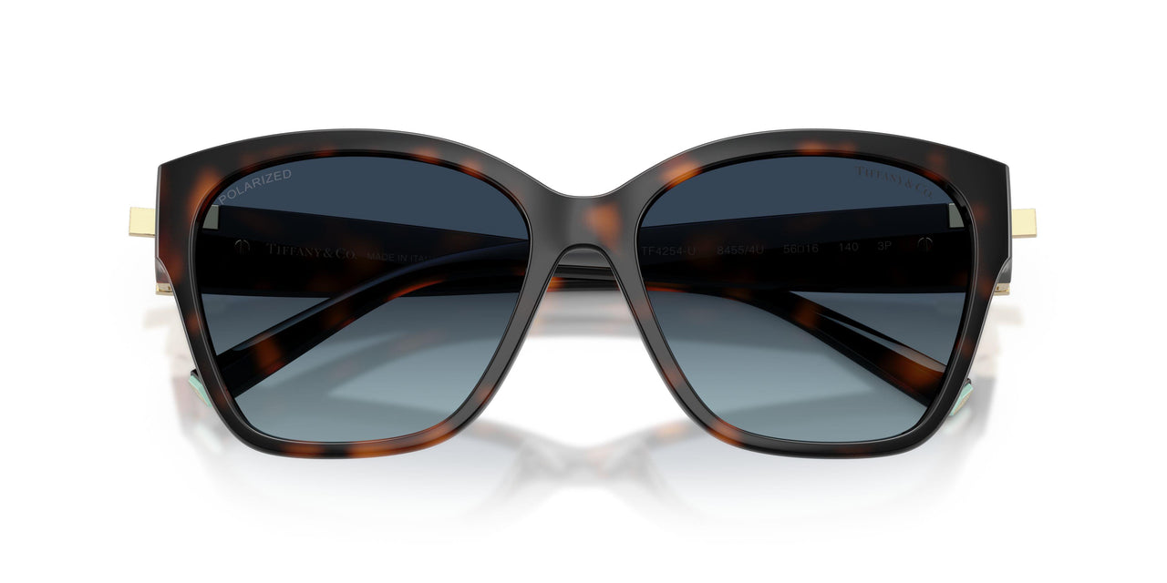 84554U - Tortoise - Azure Gradient Blue Polarized