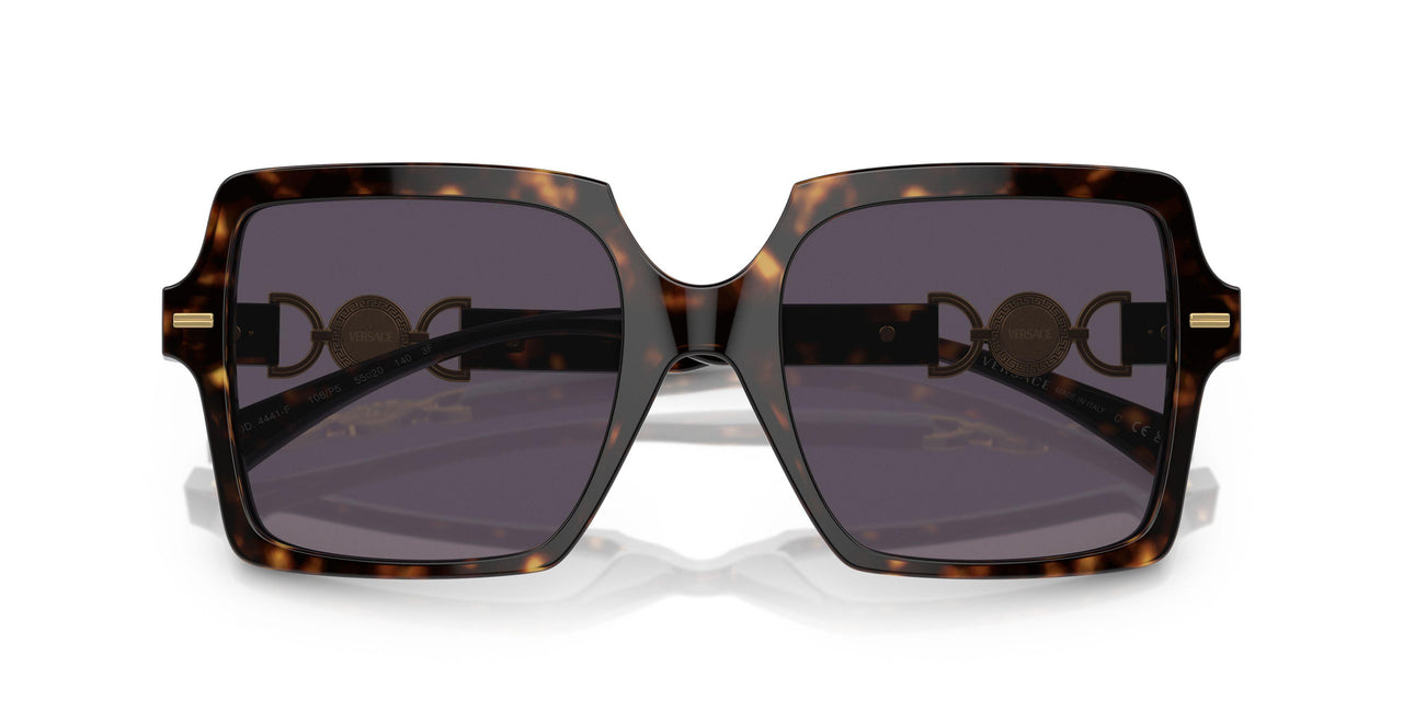 108/P5 - Tortoise - Photo Pink