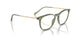 3187 - Green
