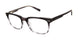 Ted Baker TM015 Eyeglasses