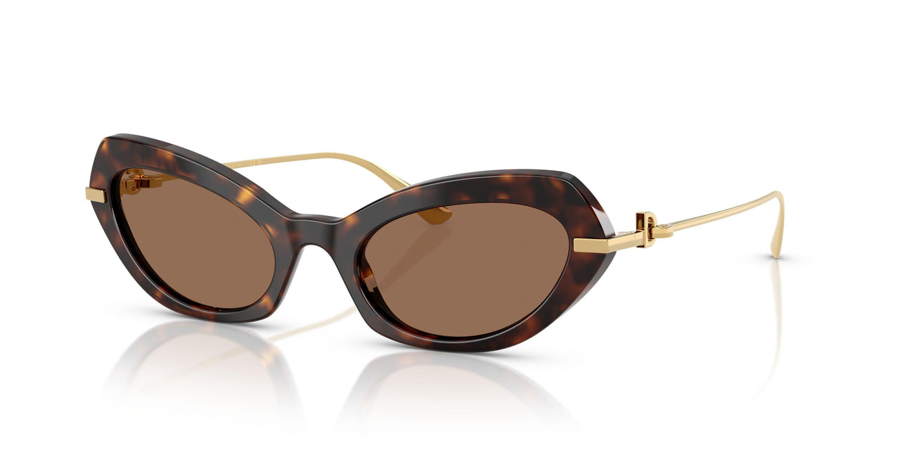 502/73 - Tortoise - Dark Brown