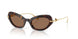 502/73 - Tortoise - Dark Brown