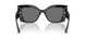 500081 - Black - Polarized Dark Grey