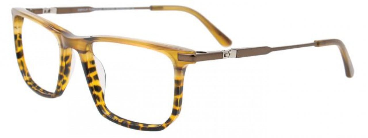 10 - Demi Blond & Tortoise / Light Brown