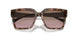 314514 - Pink - Pink Gradient Brown