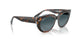 1413S3 - Havana - Blue Gradient Polar