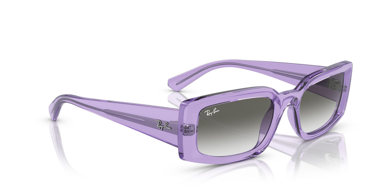 66858E - Violet - Light Grey