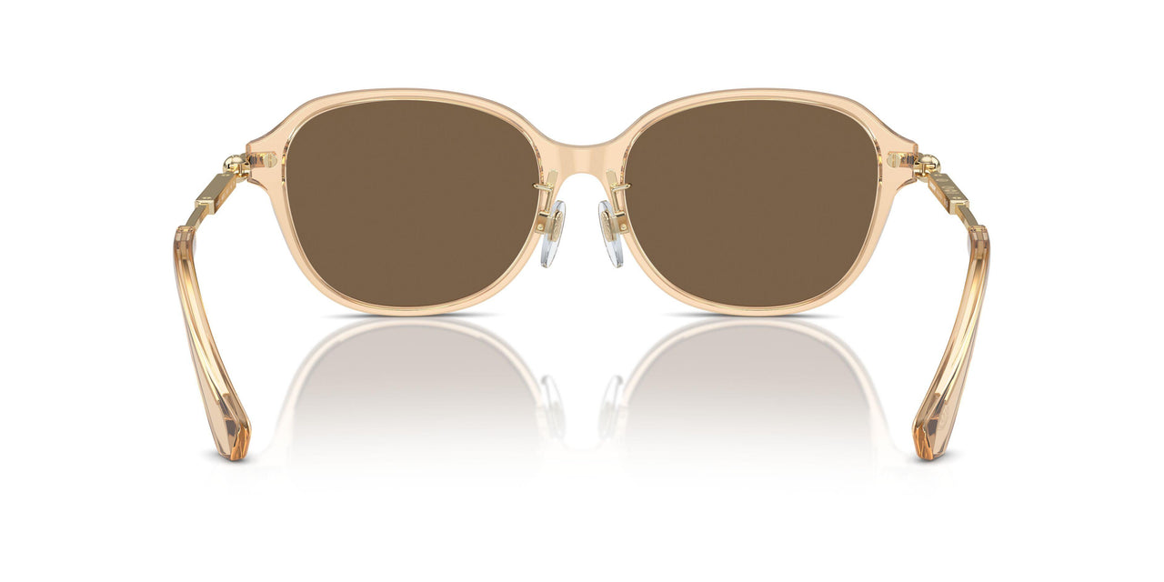 406373 - Brown - Dark Brown