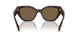 16N5Y1 - Brown - Dark Brown Polar