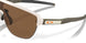924810 - Grey - Prizm Bronze