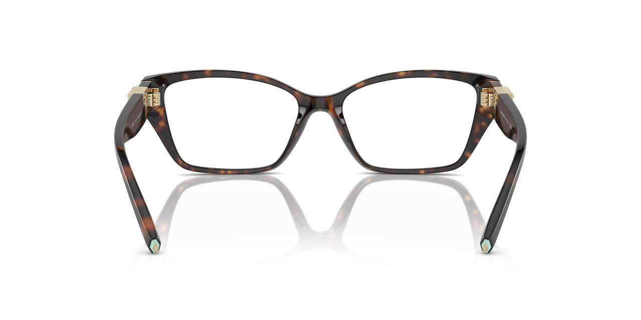 8015 - Tortoise