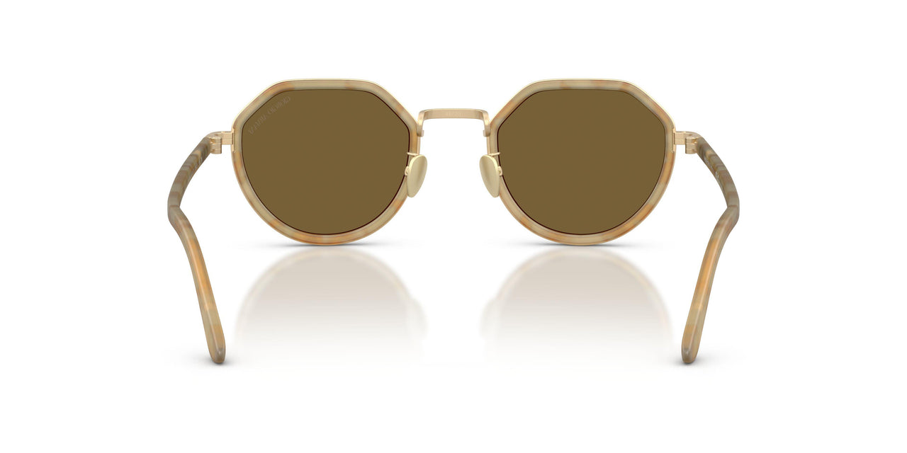 630073 - Tortoise - Dark Brown