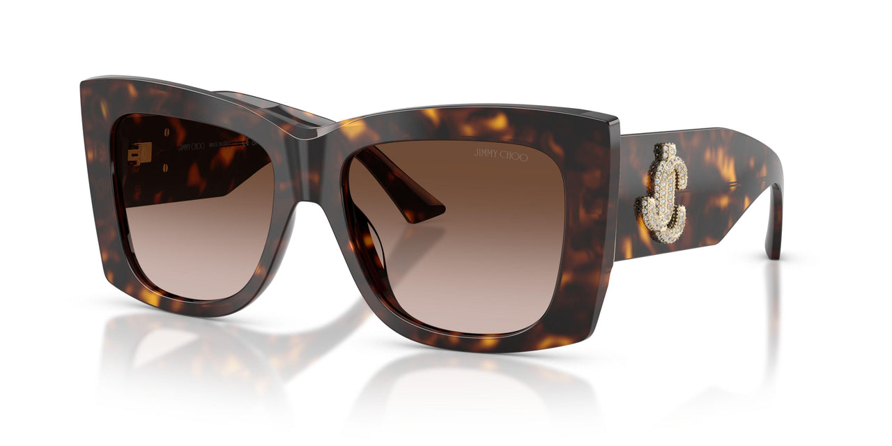 500213 - Tortoise - Gradient Brown