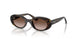 152/13 - Tortoise - Gradient Brown