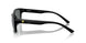 501/81 - Black - Polarized Grey