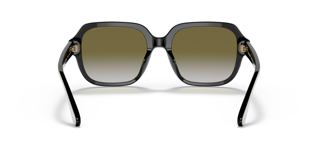 50027Z - Black - Olive Gradient