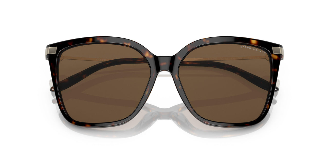 500373 - Havana - Dark Brown