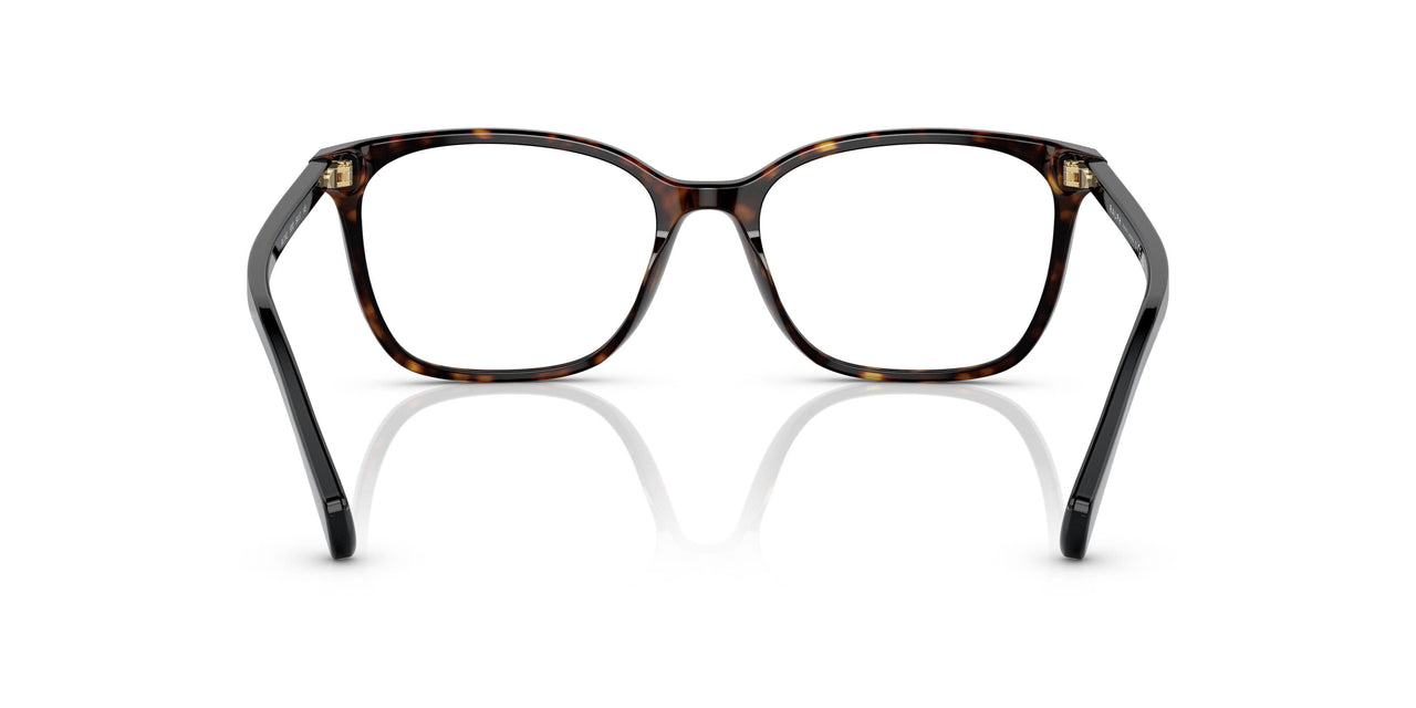 5003 - Tortoise