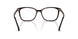 5003 - Tortoise