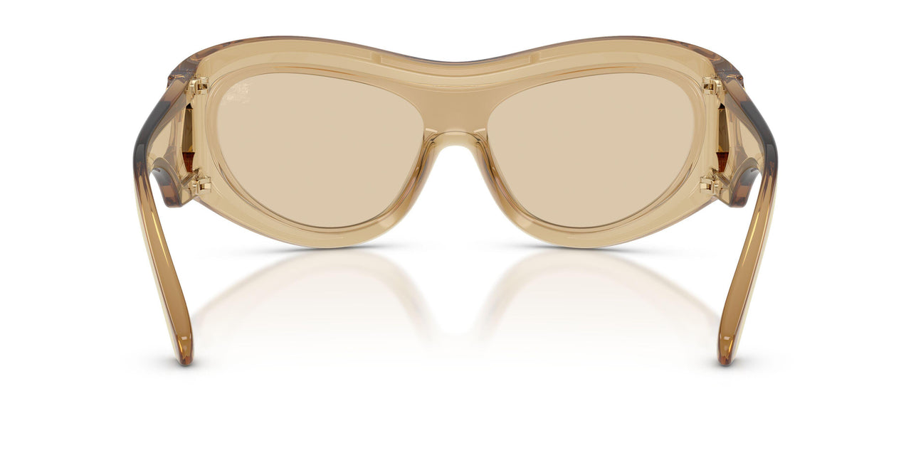 412373 - Brown - Light Brown
