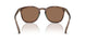597473 - Tortoise - Dark Brown