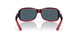 904205 - 48 Pomegranate Fade - Gray 580p