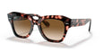 133451 - Havana - Brown Gradient / 49