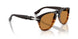 102653 - Brown - Brown