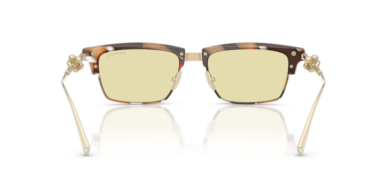 845485 - Brown - Brown