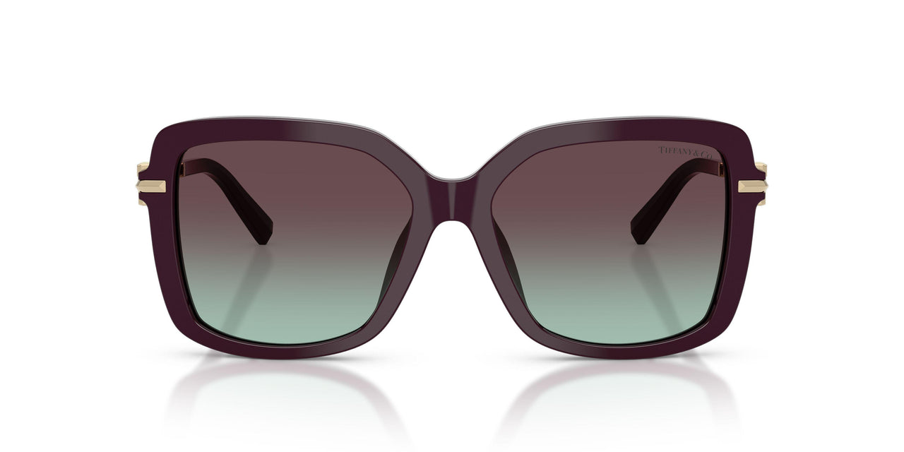8427V7 - Black - Azure/violet