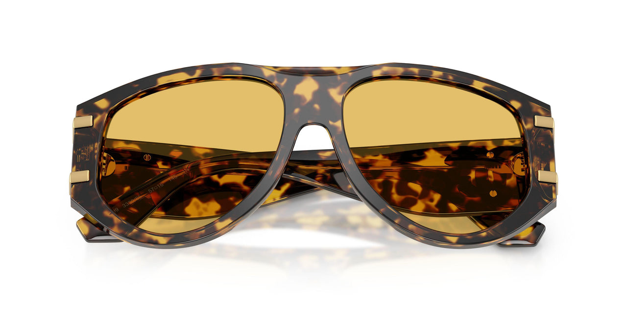 333085 - Tortoise - Yellow