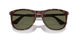 24/58 - Tortoise - Polar Green