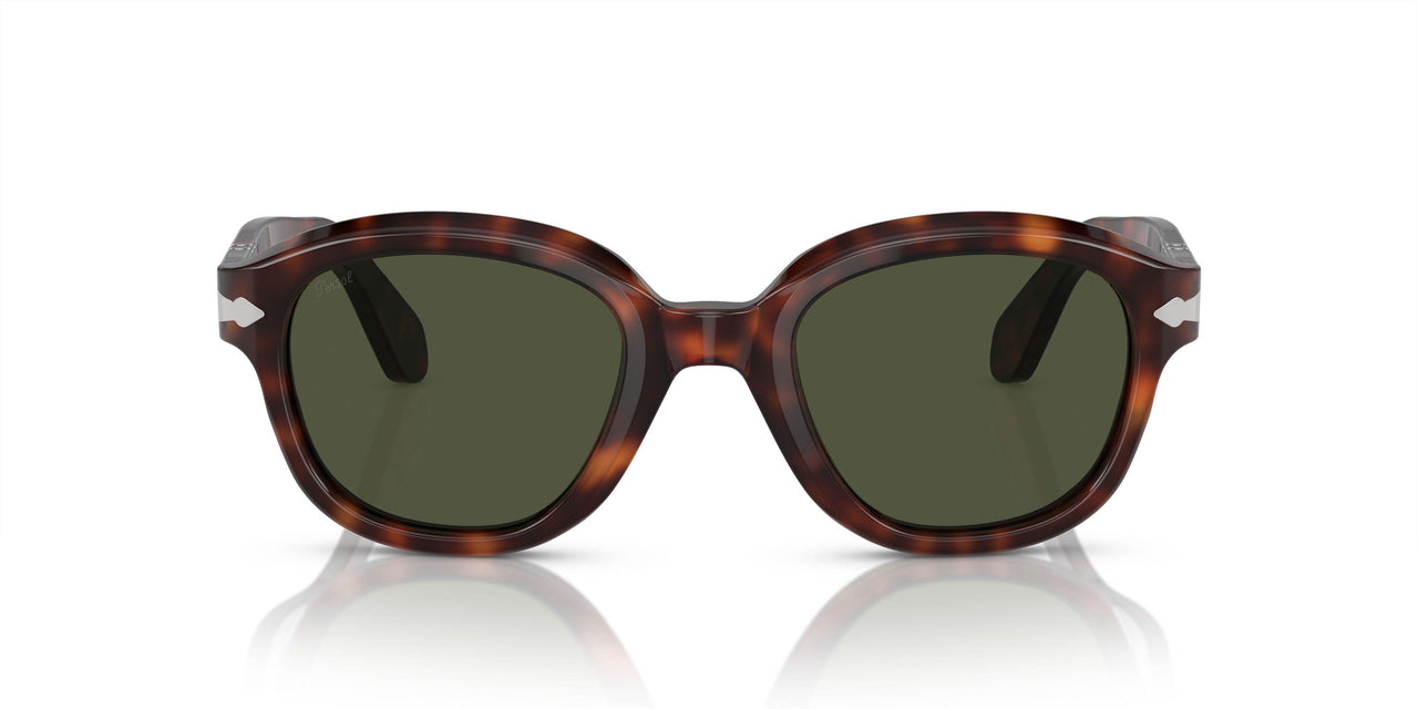 24/31 - Tortoise - Green