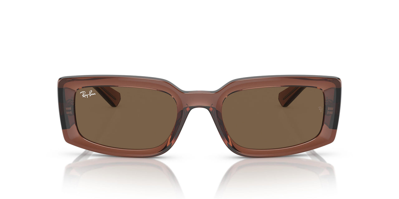 667873 - Brown - Dark Brown