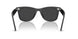 144248 - Grey - Polarized Black