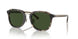 575571 - Tortoise - Green Solid