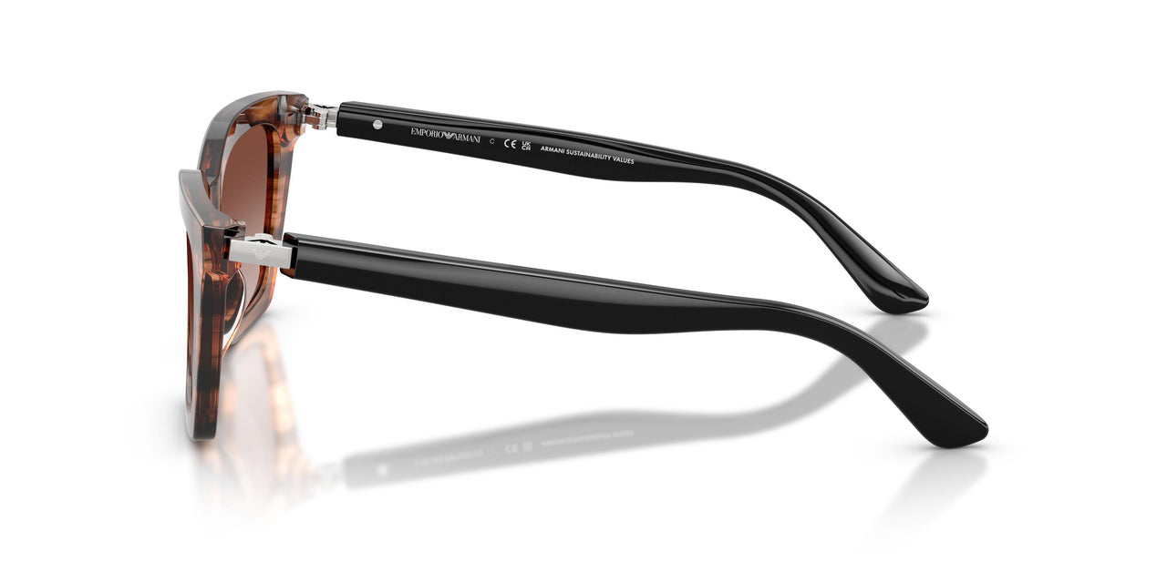 626613 - Brown - Gradient Brown