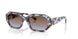 320148 - Blue - Azure Gradient Pink Gradient Brown