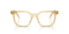 11T1O1 - Brown