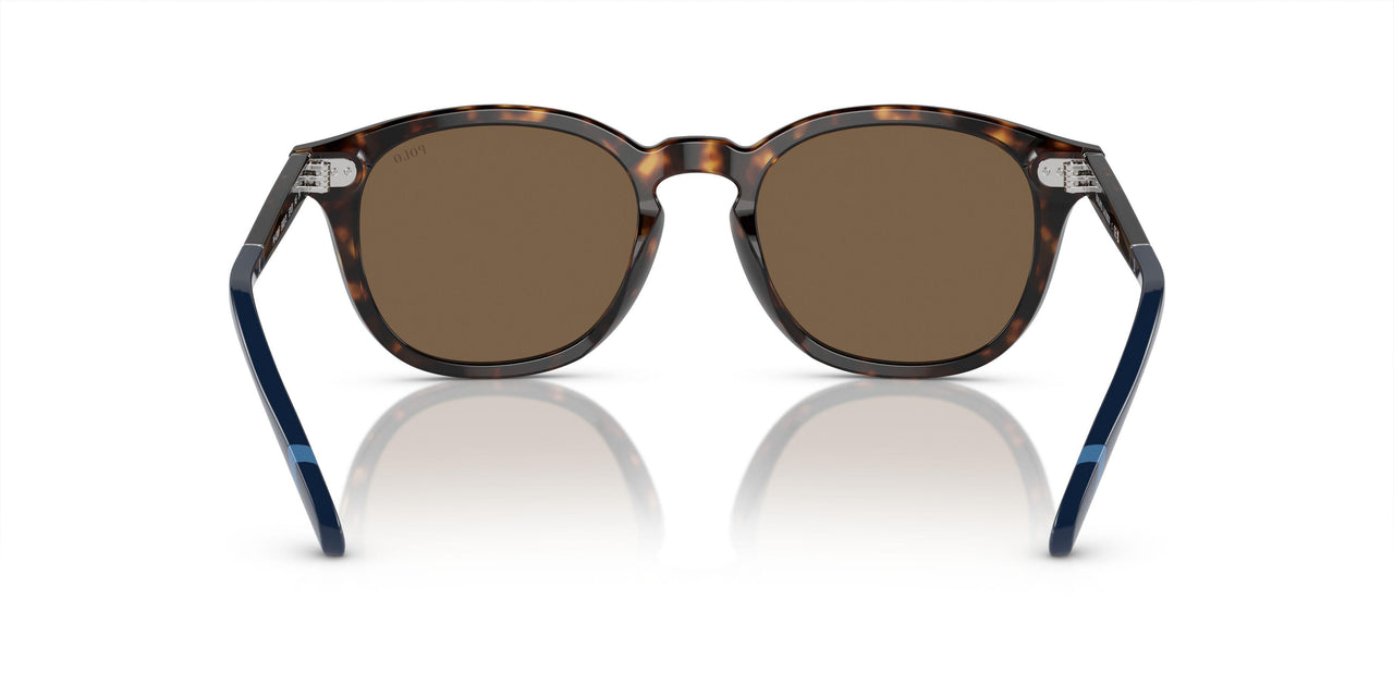 500373 - Brown - Brown