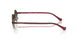 345513 - Pink - Brown Gradient