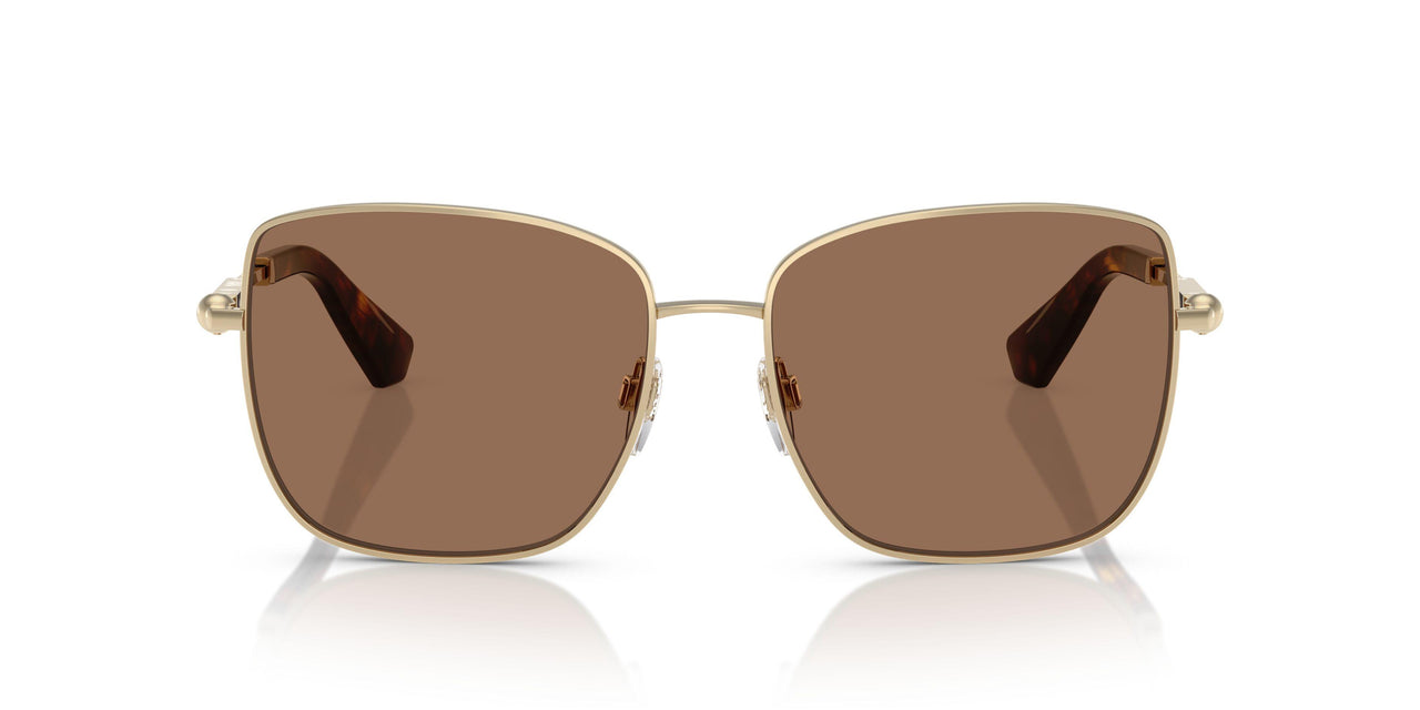 110973 - Gold - Dark Brown