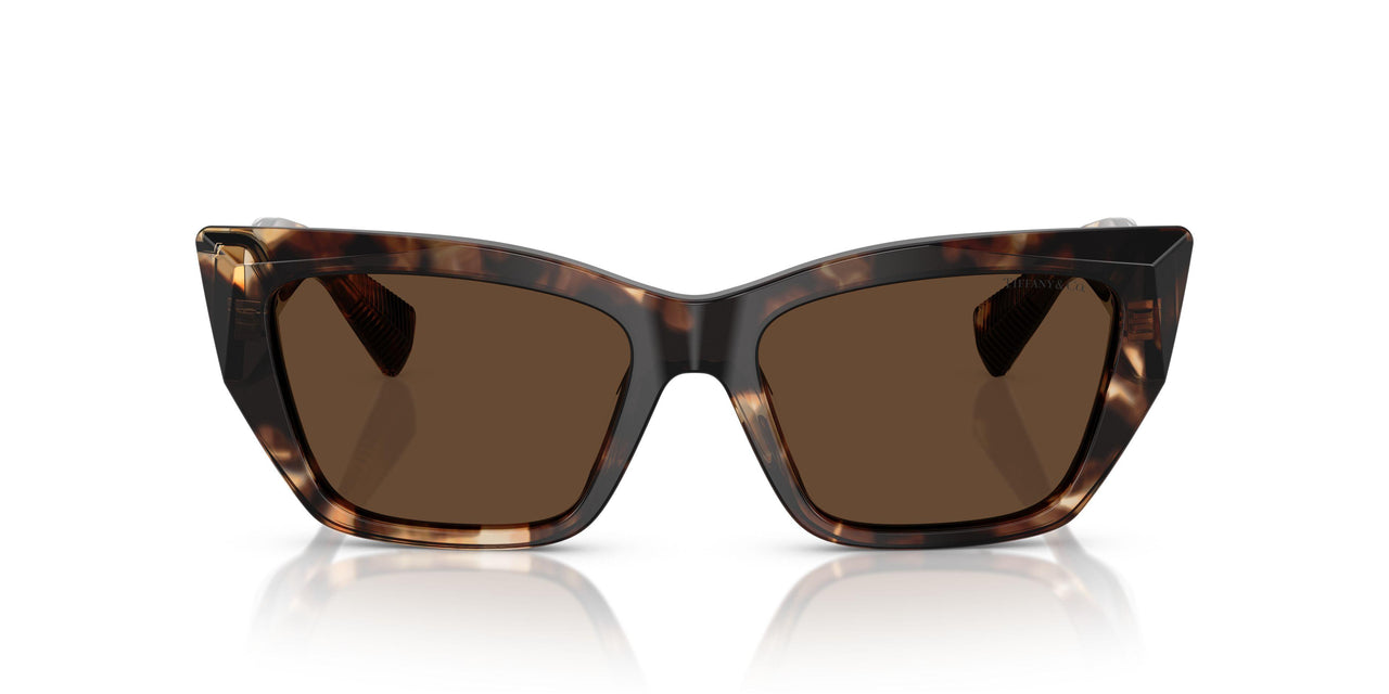 84213G - Brown - Light Brown