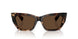 84213G - Brown - Light Brown