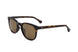 C6 - BROWN