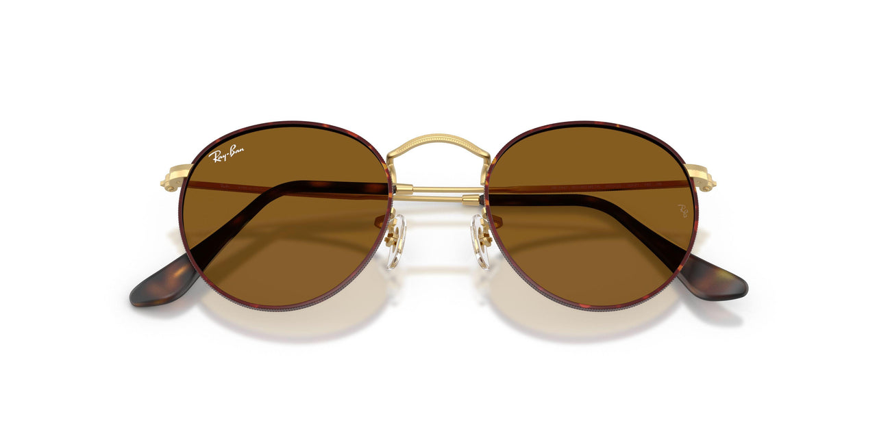 927533 - Havana - Brown