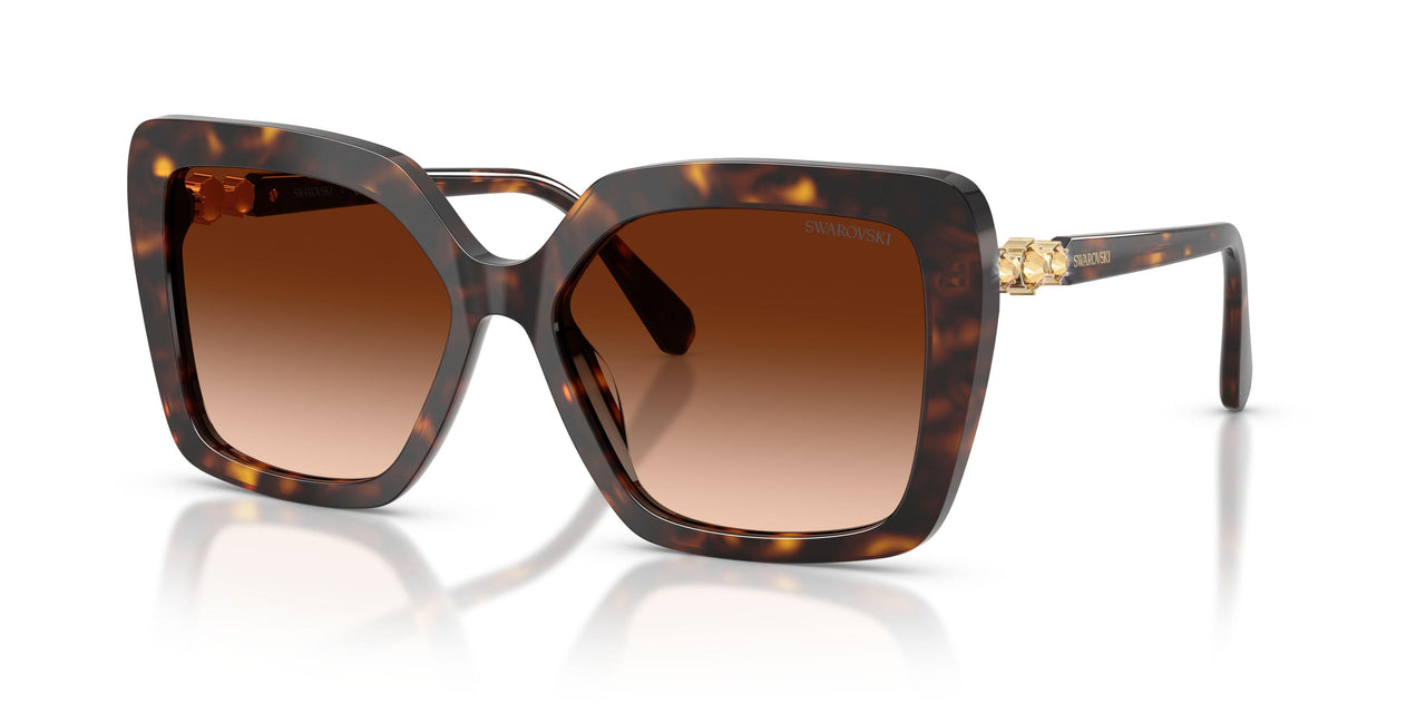 100274 - Tortoise - Brown Gradient