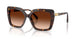 100274 - Tortoise - Brown Gradient