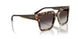 26058G - Tortoise - Grey Gradient